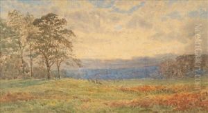 An Extensive Landscape