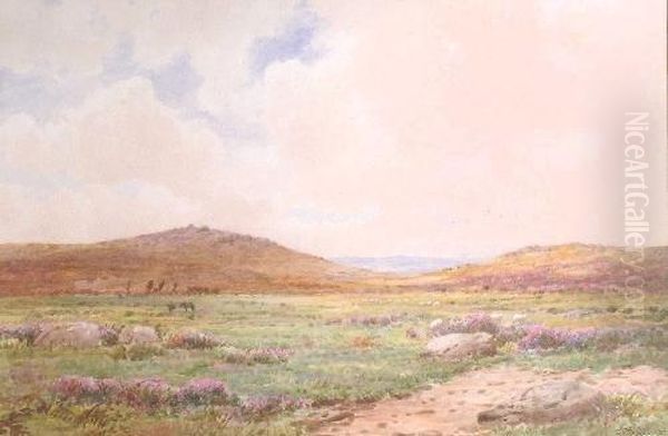 A Dartmoor Landscape With Ponies - view 1