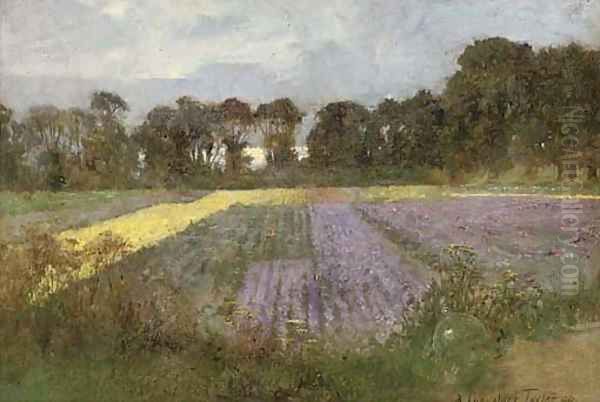 Summer meadows - view 1