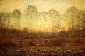 Evening Fog