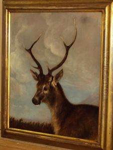 Head Of A Stag