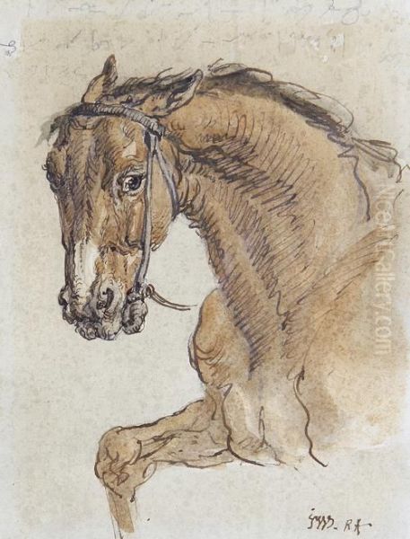 Study Of A Bay Horse - view 1