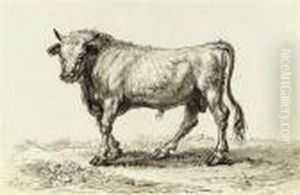Study Of A Bull by James Ward
