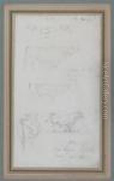 Studies Of Cattle - view 1