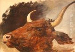 Head Study Of A Longhorn Bull by James Ward