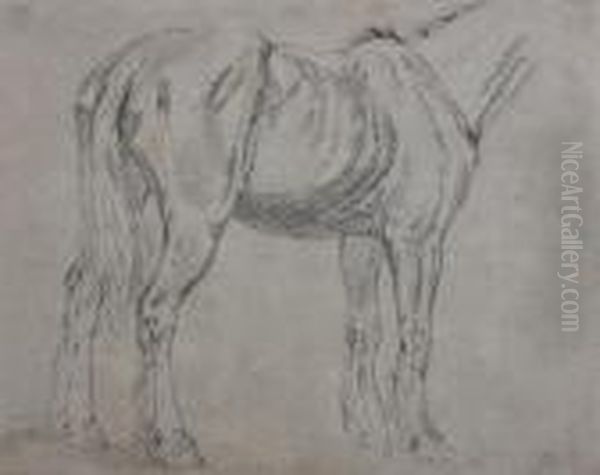 Study Of A Cart Horse - view 1