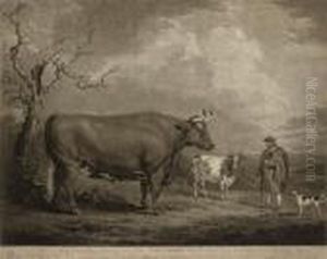 The Spottiswoode Ox by James Ward