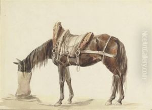A Saddled Horse Eating From A Feed Bag A Saddled Horse Eating From A Feed Bag