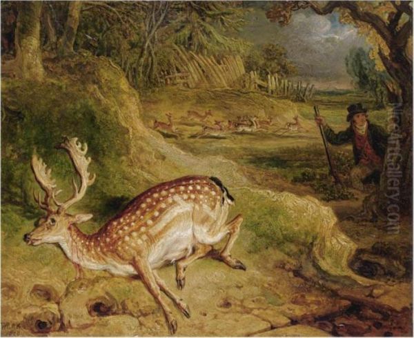 The Deer Stealer by James Ward