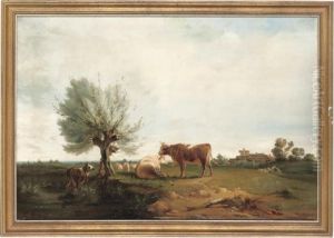 Cattle Grazing Cattle Grazing