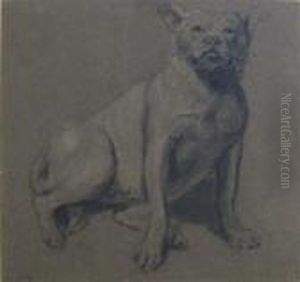 Study From Nature, Bull Dog Study From Nature, Bull Dog