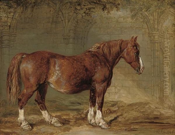 A Suffolk Punch - view 1