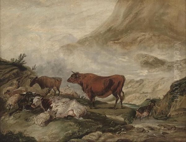 Cattle And Sheep In The Highlands - view 1