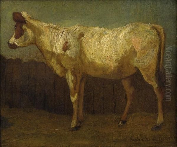 Portrait Of A Cow - view 1