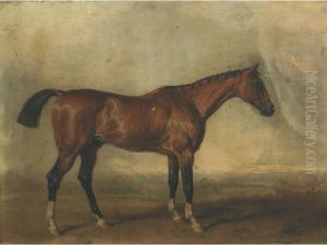 The Marquess Of Exeter""""s ...sultan