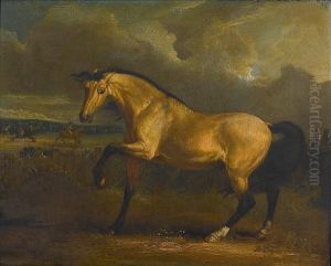 An Arabian In A Landscape