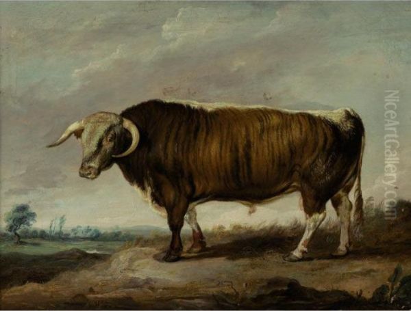 Longhorn Bull, Sire Of The Bull Croxall - view 1