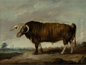 Longhorn Bull, Sire Of The Bull Croxall by James Ward
