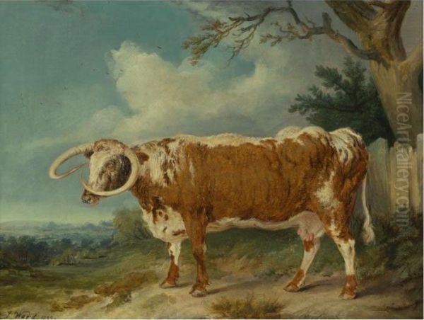 Dam Of The Bull, Croxall - view 1