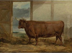 Devon Cow by James Ward