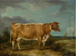 Longhorn Cow by James Ward