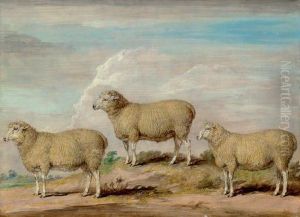 Reynolds's Bamtton Ram, Ewe And Wether by James Ward