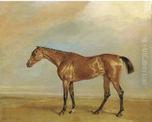 The Marquess Of Exeter's Augusta, At Newmarket