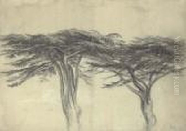 Study Of Two Cedars Of Lebanon - view 1