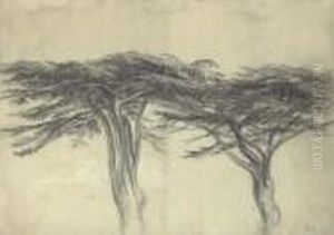 Study Of Two Cedars Of Lebanon by James Ward