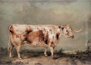 Portrait Of A Longhorn Cow by James Ward