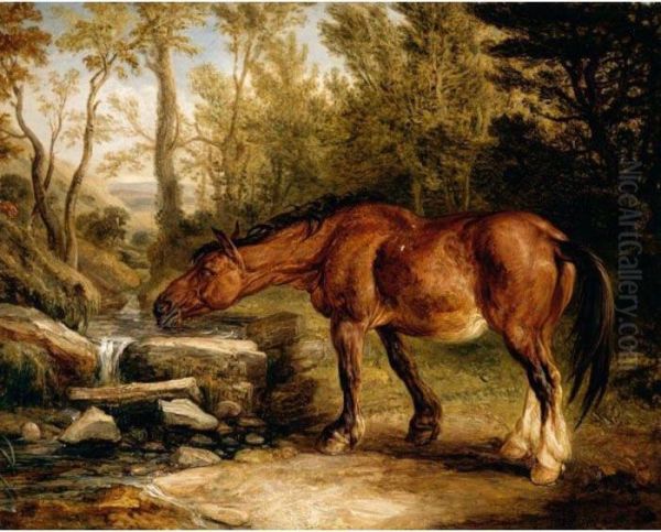 A Horse Drinking At A Stream - view 1