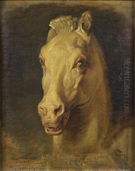 Tete De Cheval - view 1