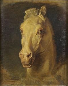 Tete De Cheval