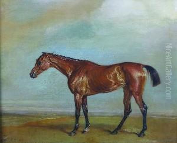 Lord Exeter's Augusta, Newmarket - view 1