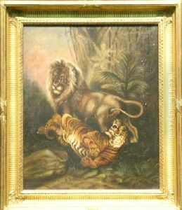 Lion And Tiger In Jungle