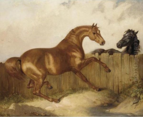 A Black Horse And Chestnut Horse - view 1