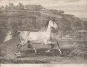 A Cossack Horse