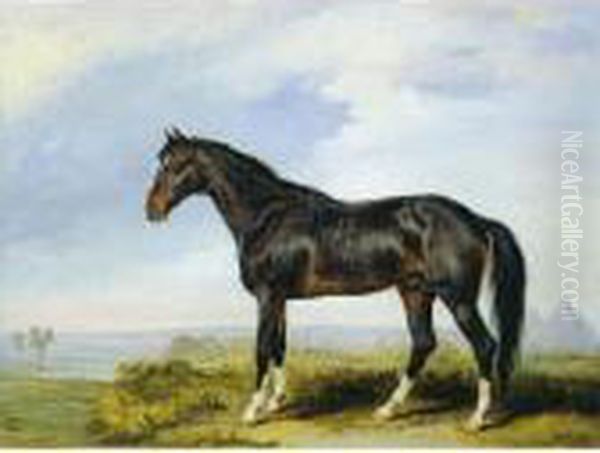 Dongola, An Arab Stallion
Imported From Nubia, In A Desert Landscape With The Pyramids In The
Background - view 1