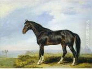 Dongola, An Arab Stallion 
Imported From Nubia, In A Desert Landscape With The Pyramids In The 
Background by James Ward