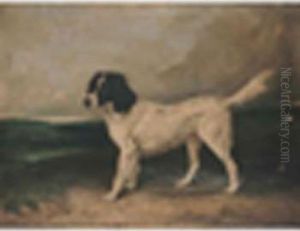 A Newfoundland In A Landscape by James Ward