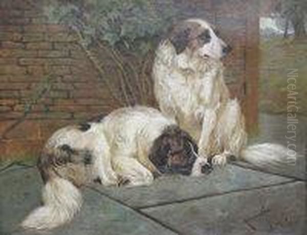 Two Sheep Dogs By A Wall - view 1