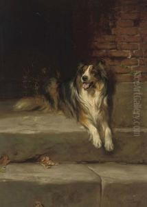 My Lady's Companion