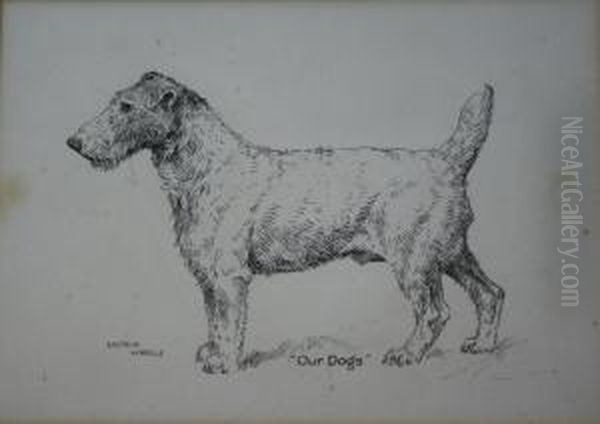 Our Dogs - view 1