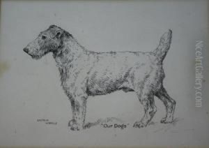 Our Dogs by Arthur Wardle