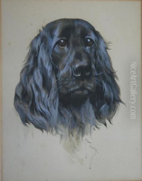Head Study Of A Spaniel - view 1