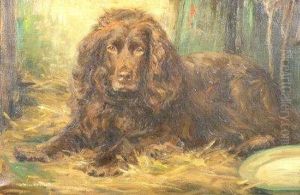 A Study Of A Spaniel