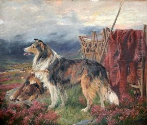 Sheepdogs In A Moorland Landscape