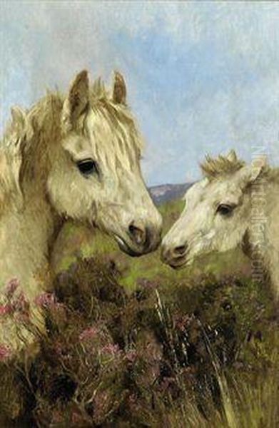 Exmoor Ponies - view 1