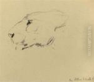 Two Sketches Of A Lion's Head Together With A Rough Sketch Ofhorse's Legs