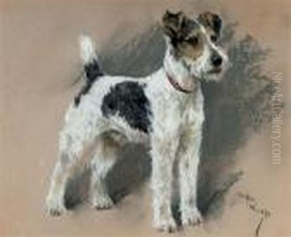 Study Of A Fox Terrier - view 1